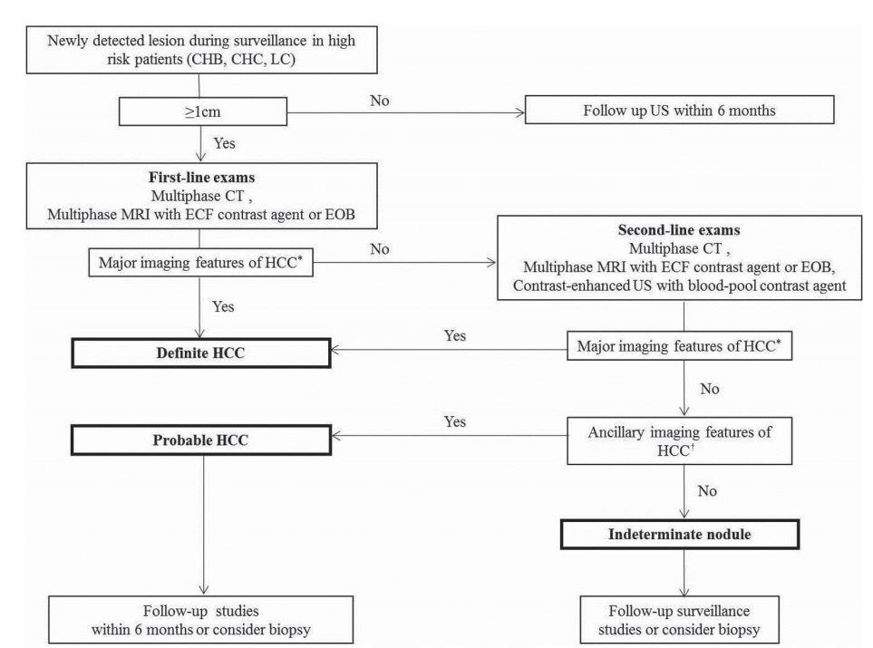 Comparison Of International Guidelines For Noninvasive Diagnosis Of Hepatocellular Carcinoma 18 Update